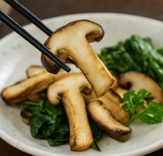 송이버섯 보관방법