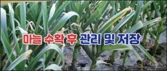 수확 후 처리 세척 건조 예냉 저장 온도 습도 관리_6