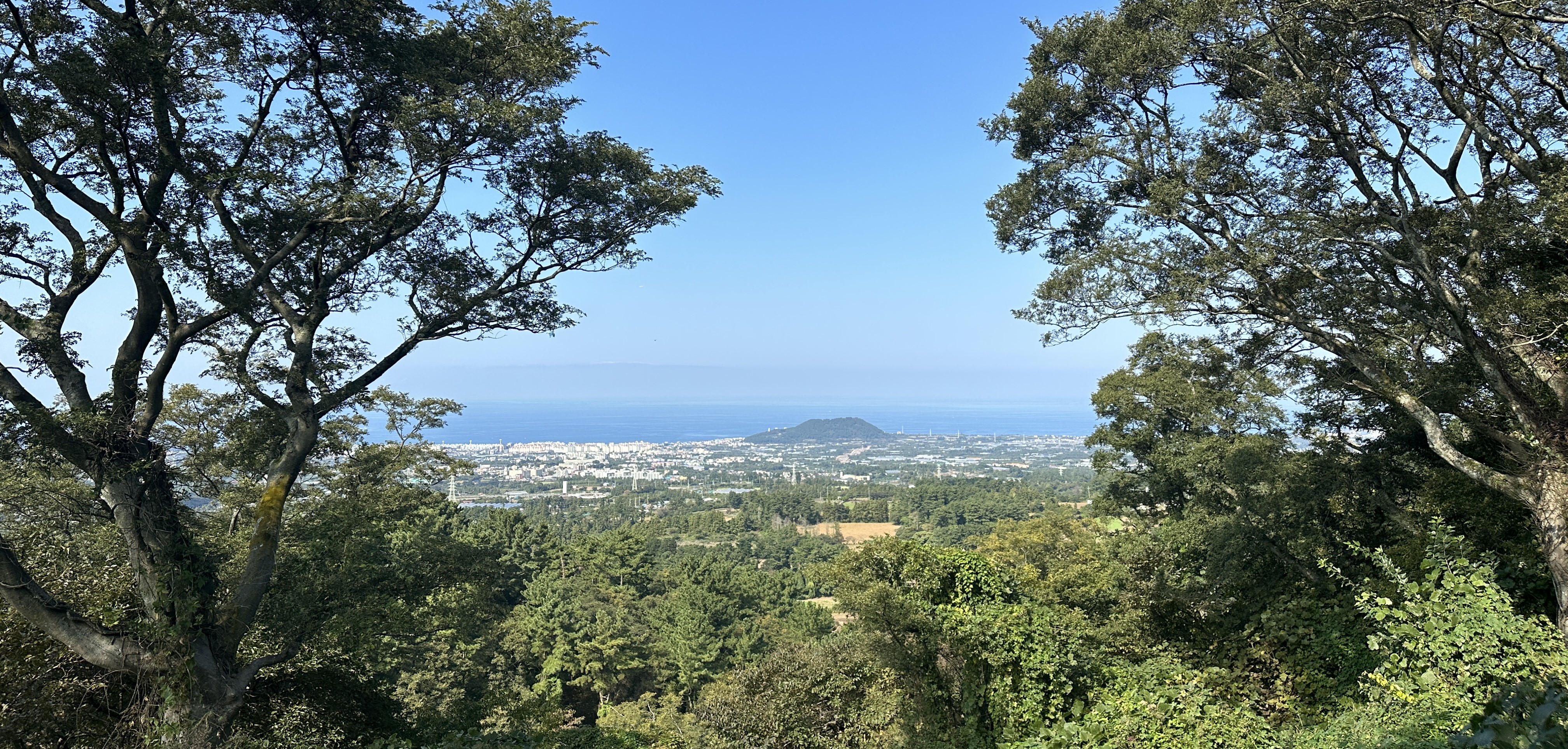 밧세미 오름 정상