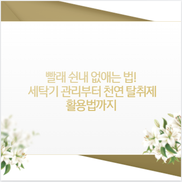 빨래 쉰내 없애는 법! 세탁기 관리부터 천연 탈취제 활용법까지