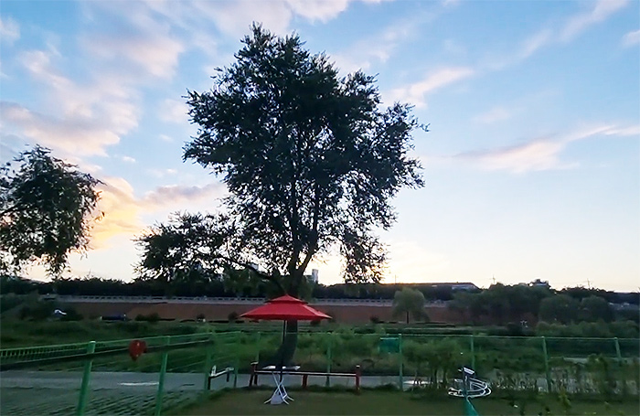 강원도 강릉시 강릉파크골프장 소개