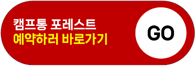 가평 빠지 펜션 놀이기구 패키지 가격 가성비 추천