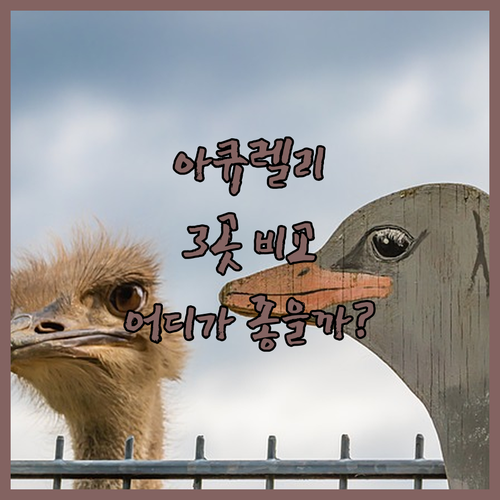 아큐레이리 호텔 완벽 분석! 베르자야