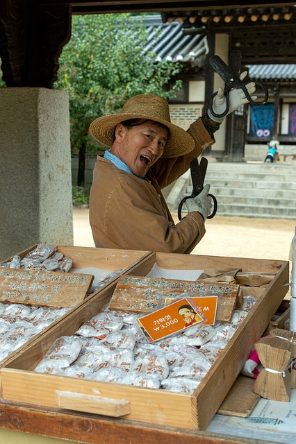 설날 제주도 여행 &amp;#124; 따뜻한 휴양지에서 보내는 특별한 명절