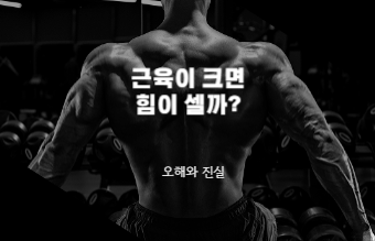 근육이 크면 힘이 셀까?