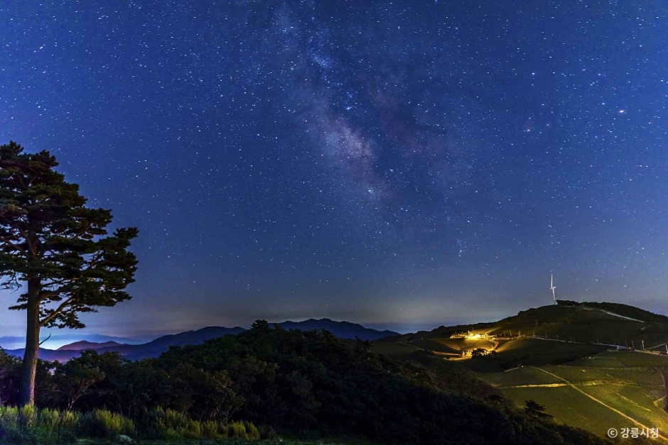 11월 지역 축제 강원 세종 대전 가을 축제