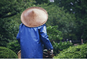 식물과 라이프스타일 - 가드닝 습관이 삶에 미치는 영향