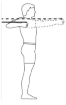 근육양 높이는 다이어트 가슴운동
