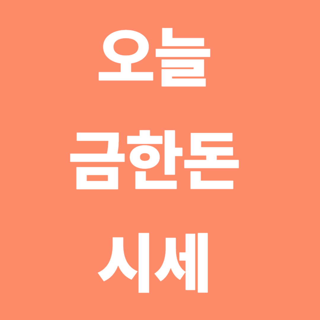 오늘 금한돈 시세 실시간 정리