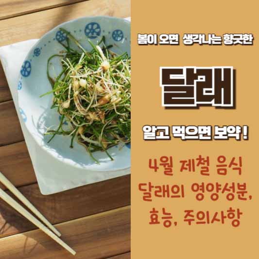 4월 제철 음식 달래 영양 성분, 효능, 주의 사항