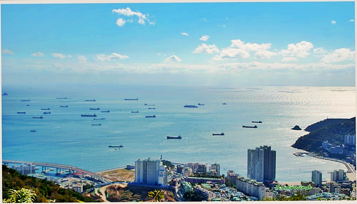 부산 남항 ,북항 묘박지 전경