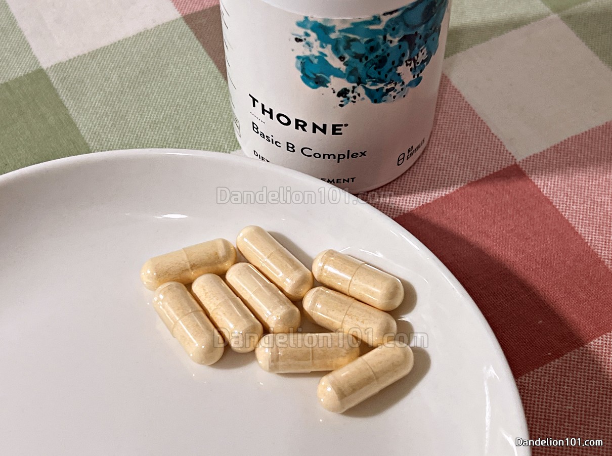 쏜 베이직 비타민 B 컴플렉스 캡슐