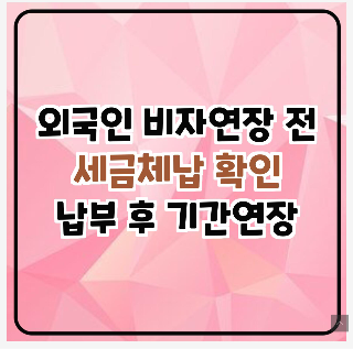 외국인-세금체납-확인-납부후-기간연장