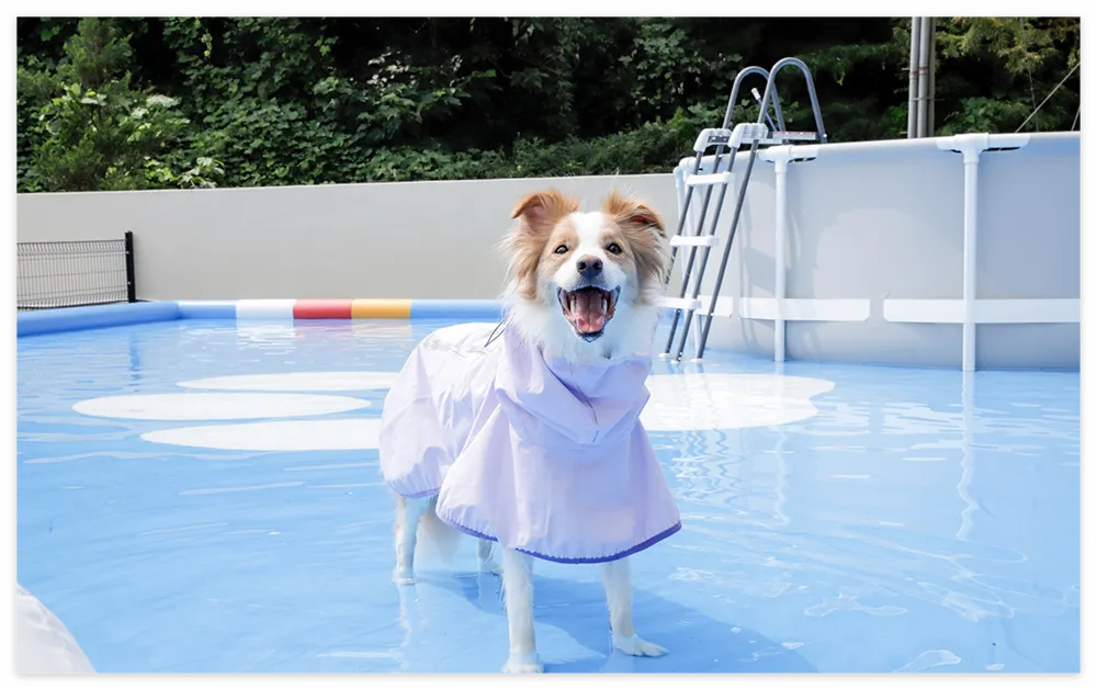 충주 켄싱턴리조트 멍 물놀이장