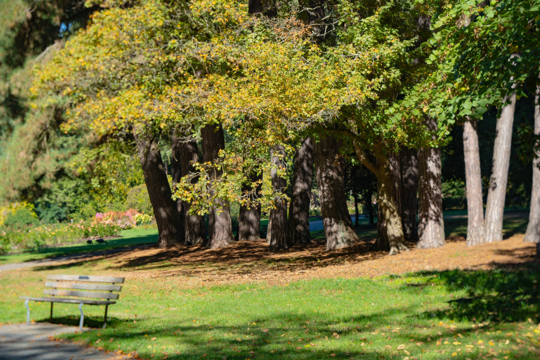 밴쿠버 스탠리 공원 산책