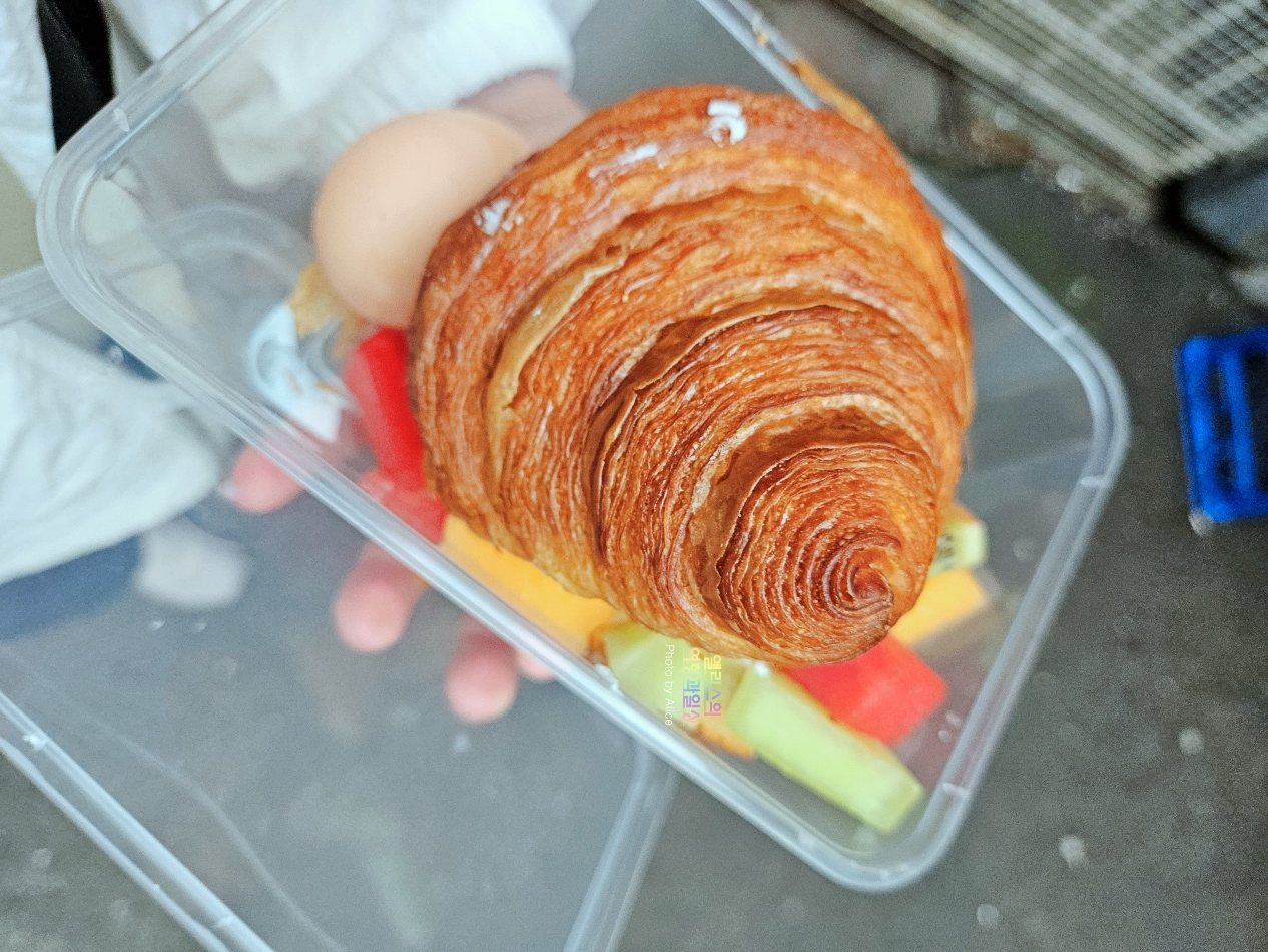 시드니 근교 블루마운틴 투어 가격 솔직 후기 + 시드니 동물원 일일투어