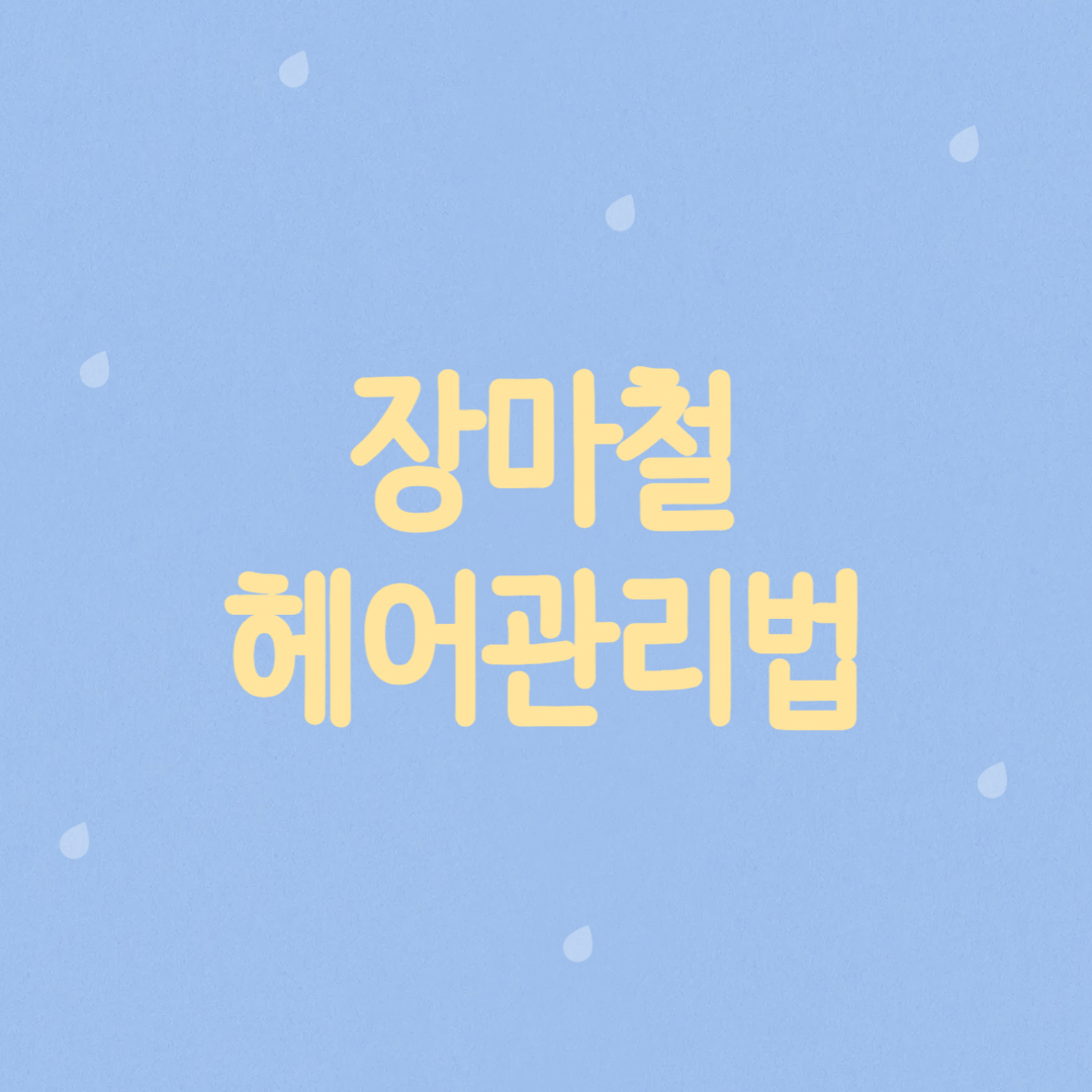 장마철 머리 헤어 관리방법