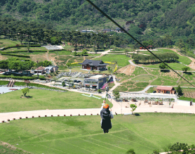 구절초지방정원 짚와이어