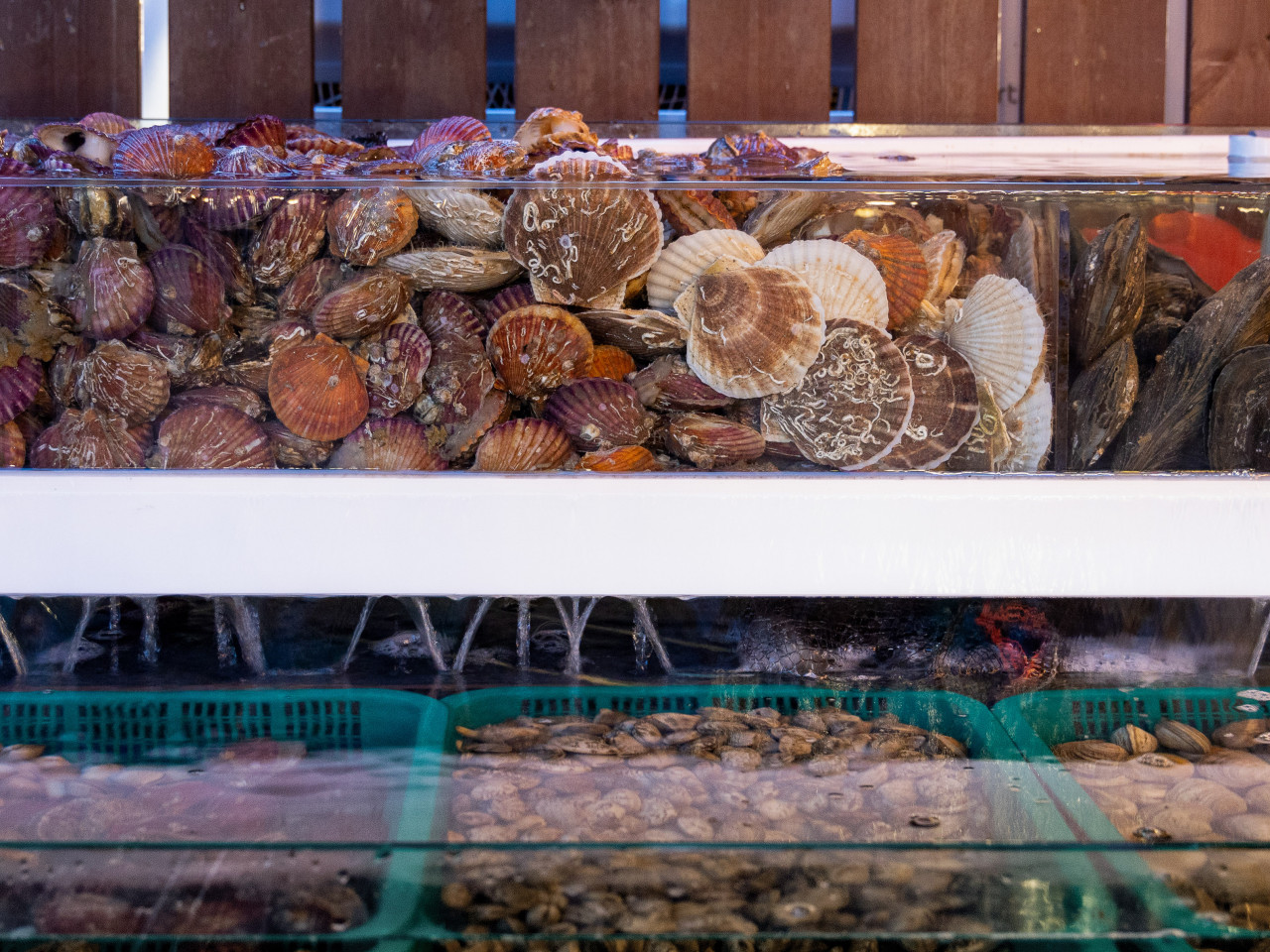 신선해보이는 재료