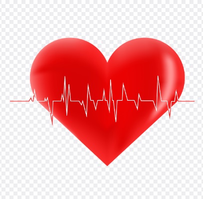 실손 24 : 홈페이지 앱, 간편청구 가이드