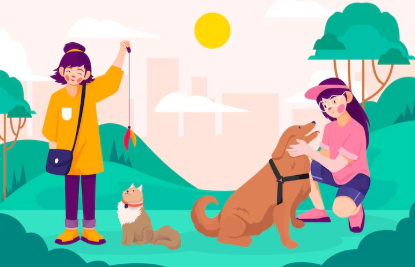 대한민국 펫캉스