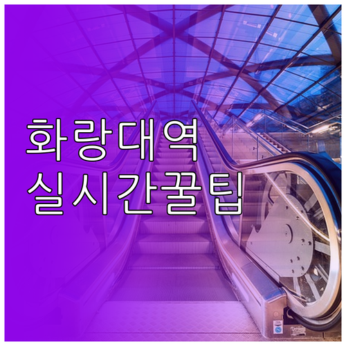 화랑대역 실시간 열차 시간과 주요 출..