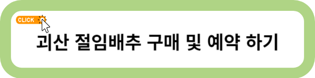 괴산 절임배추 20kg