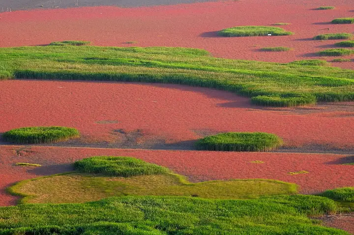 떴다 고여사 짱뚱어 게장 꼬막 맛집 갯벌 여행 가볼만한 곳 추천 다시보기