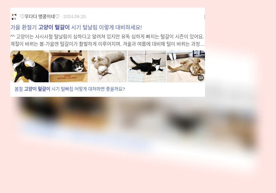 고양이 털갈이_3_subsection