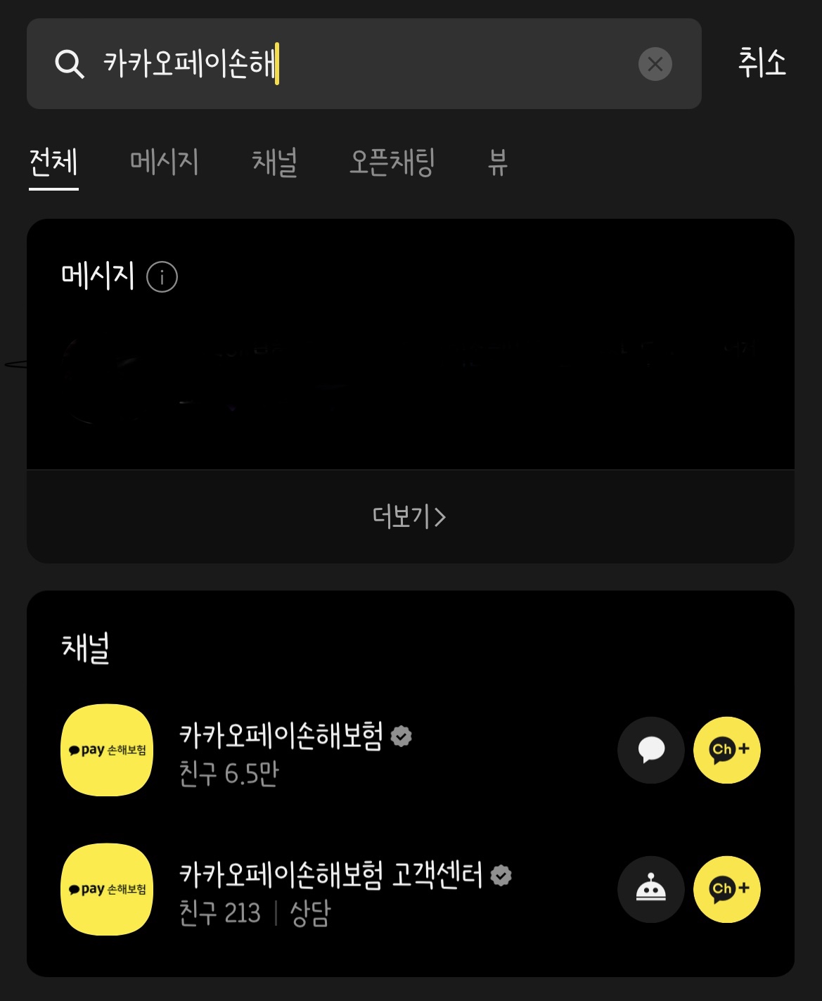 카카오페이 손해보험