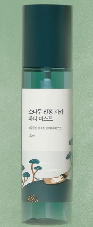 진정 바디미스트