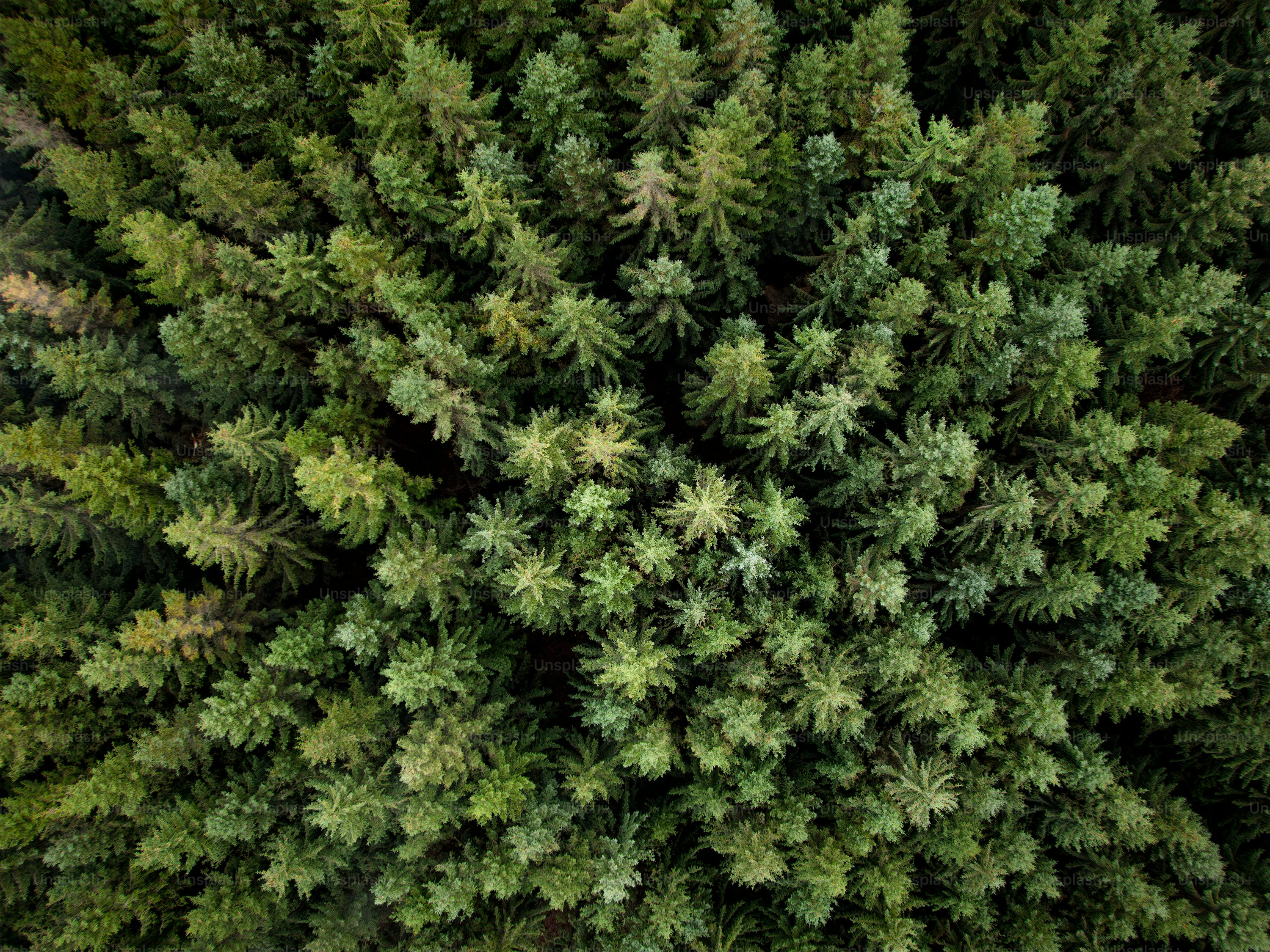 오늘의 운세사진