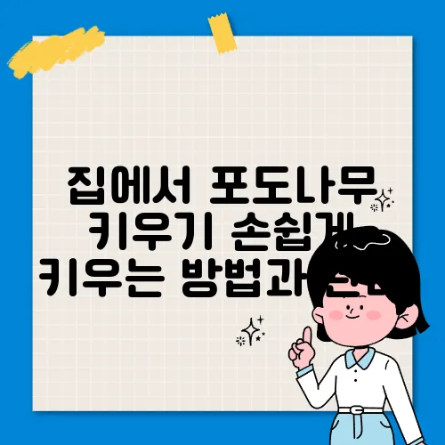 집에서 포도나무 키우기 손쉽게 키우는 방법과 관리