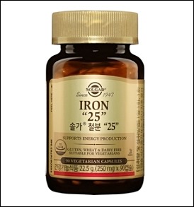 철분 음식 10
