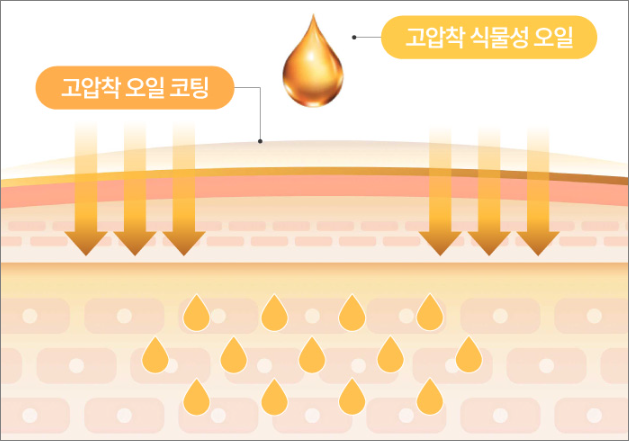 건강한 피부표면