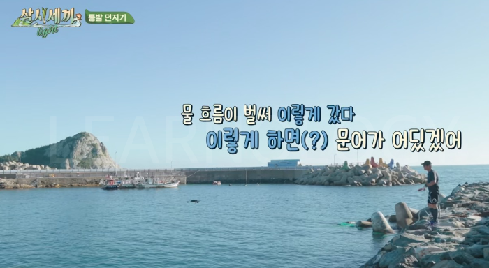 삼시세끼 라이트 추자도 차승원 유해진 추자도 게스트 삼시세끼 어촌편 시즌6 시청률