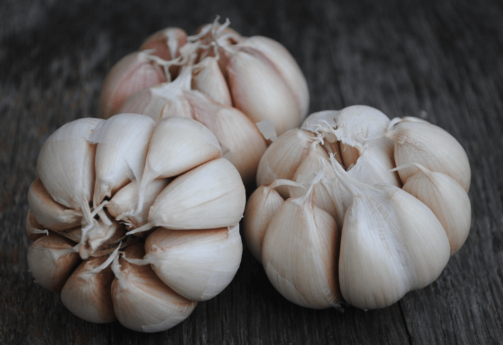 폐에 좋은 음식