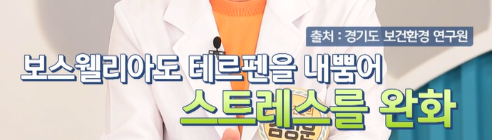 보스웰리아 효능