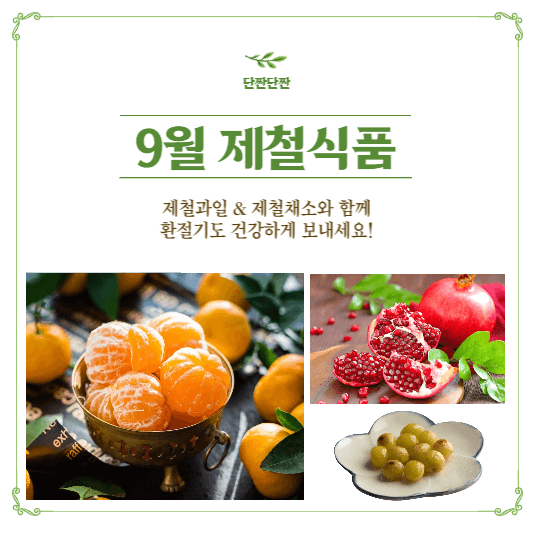 9월 제철과일 제철채소