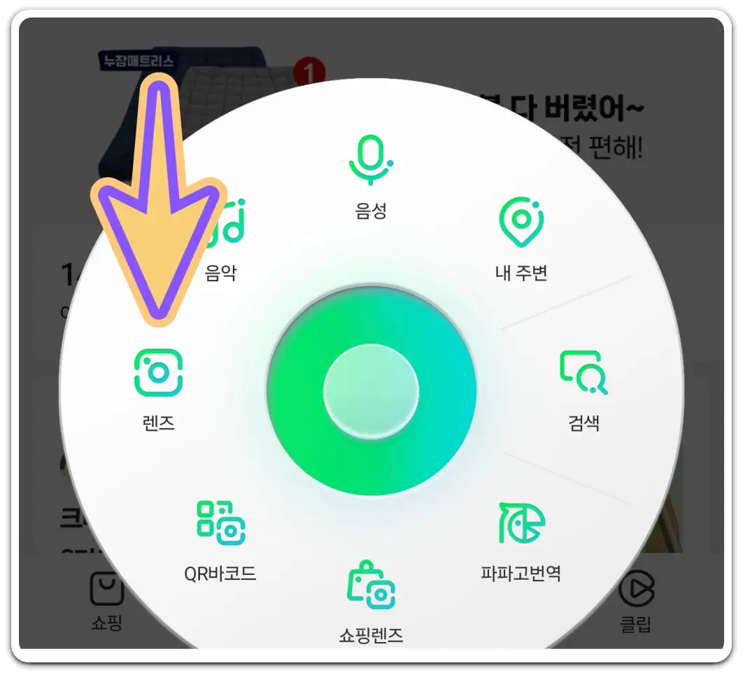 꽃-나무-이름-찾기-검색-방법