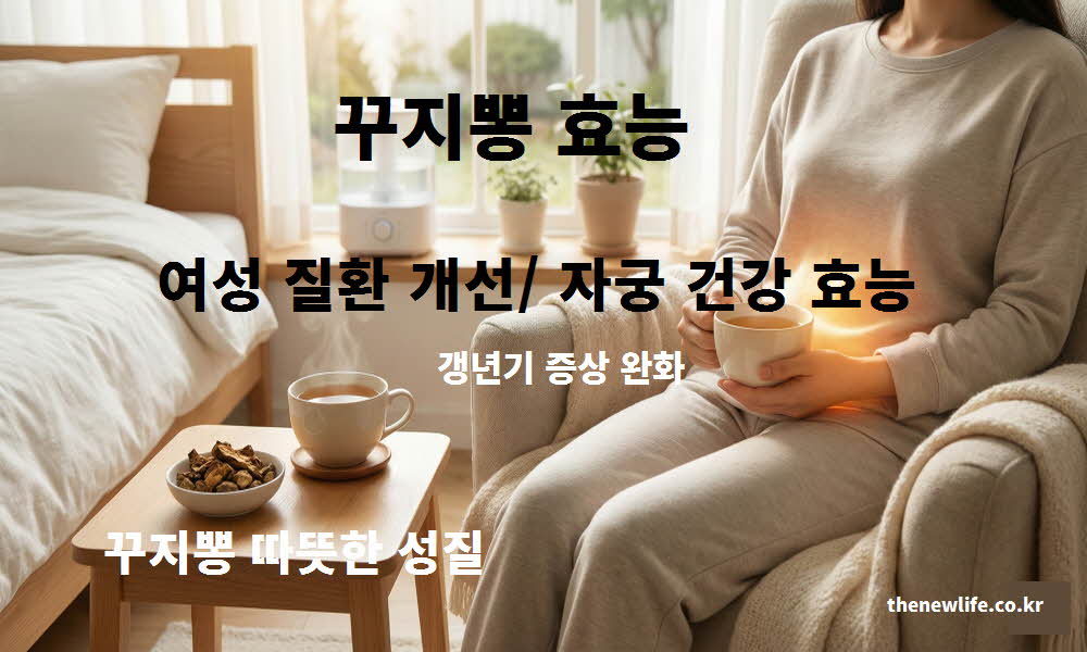 꾸지뽕 효능 여성 질환 개선 자궁 건강