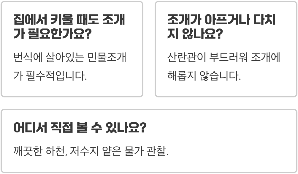 민물조개와의 공생&amp;#44; 각시붕어 번식의 신비