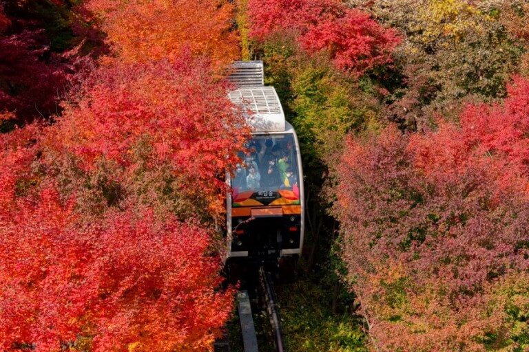 화담숲 예매하기