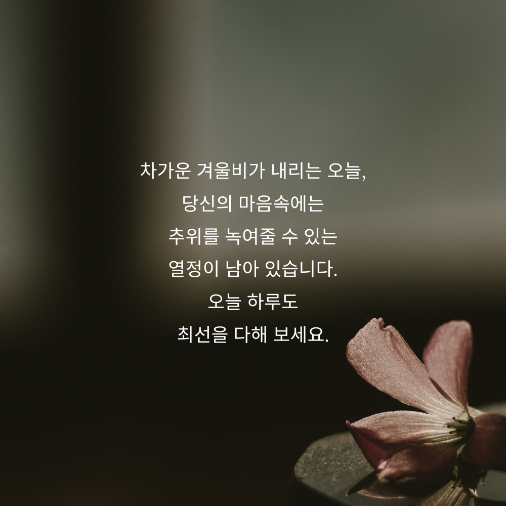 겨울비 오는날 인사말 이미지