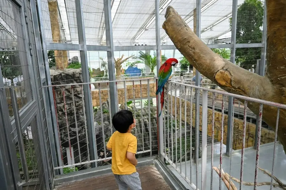 오산 버드파크 후기 사진26