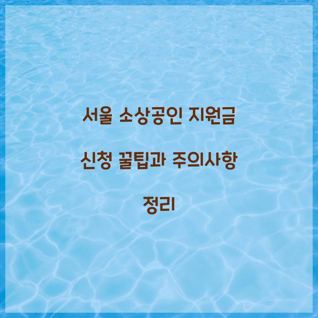 서울 소상공인 지원금