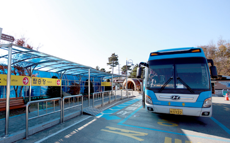 삼척 레일바이크