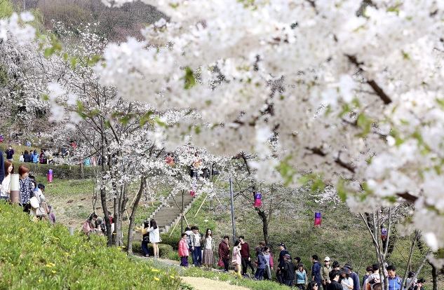2024 서대문 봄빛축제