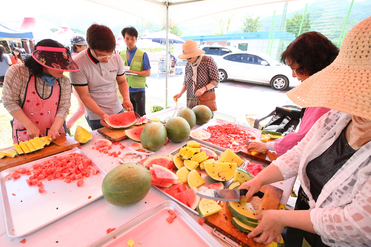 2025 제15회 진안고원 수박축제 완벽 가이드 ❘ 한여름 달콤한 진안 여행의 필수 코스