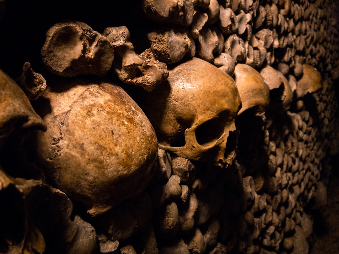 Bone broth